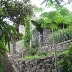 Kaza Di Zaza 3