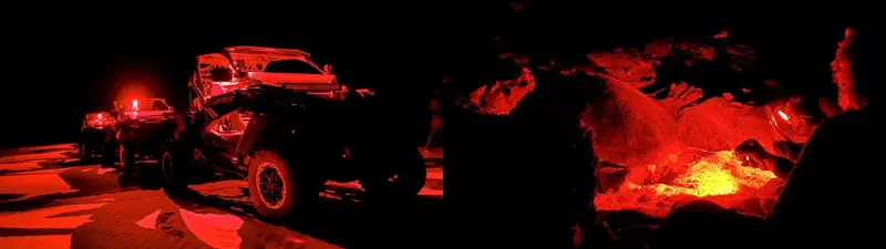 Buggy de Nuit : Observation des Tortues Marines à Sal 2