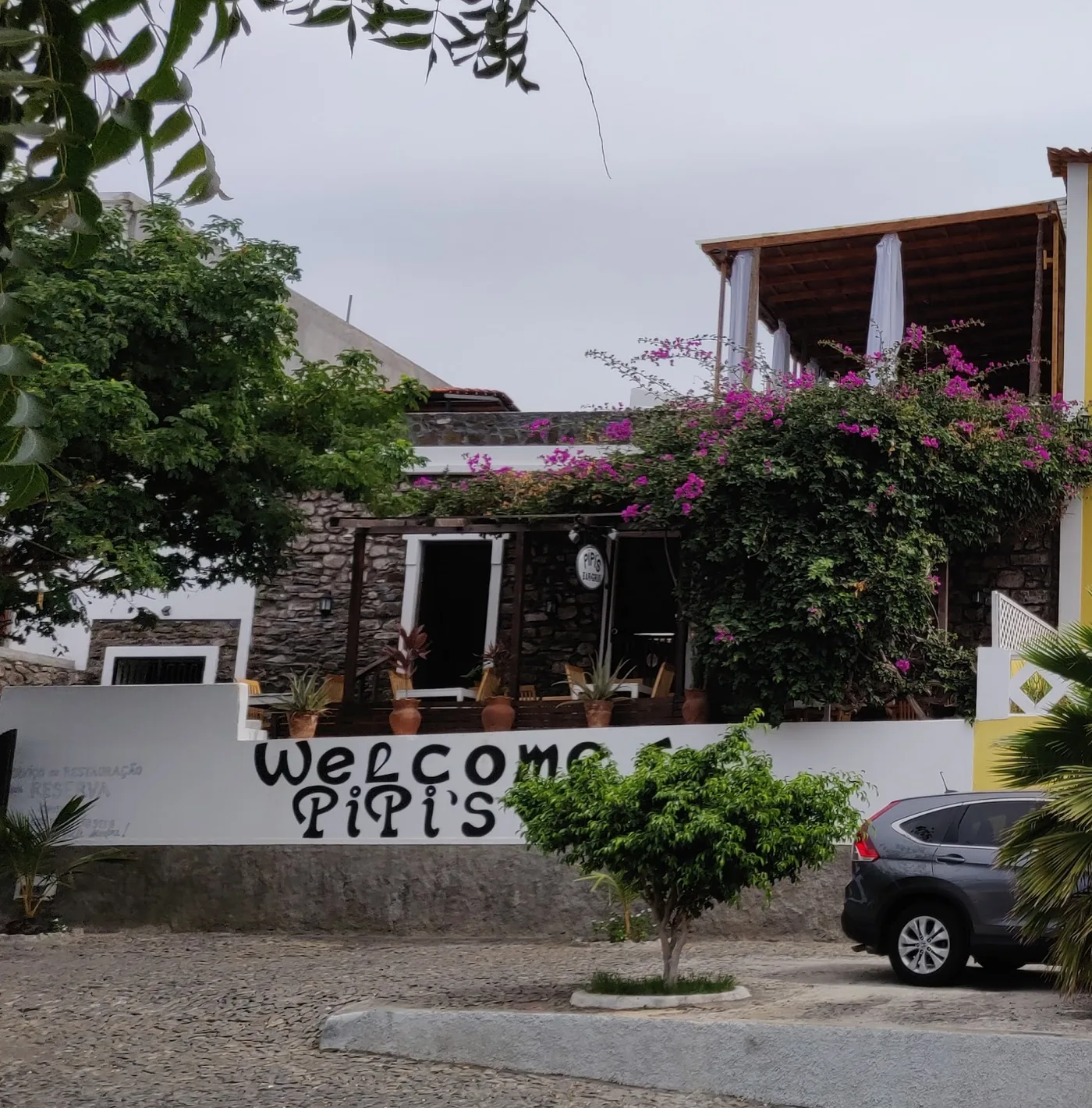 Pipi's Bar 3
