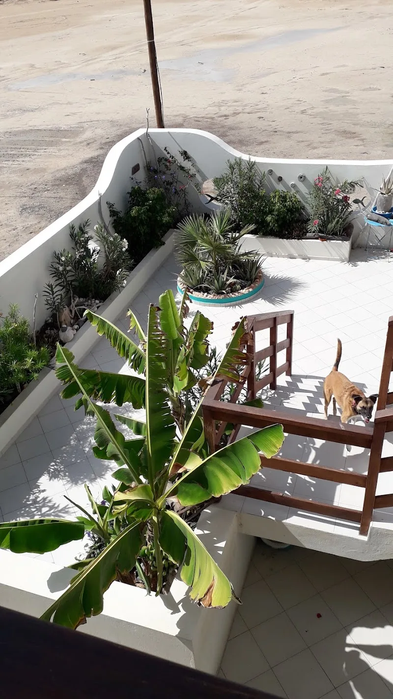 B&B Sereia Azul Boa Vista 4