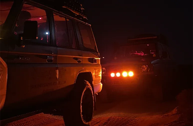 Observation Nocturne des Tortues à Boa Vista 3