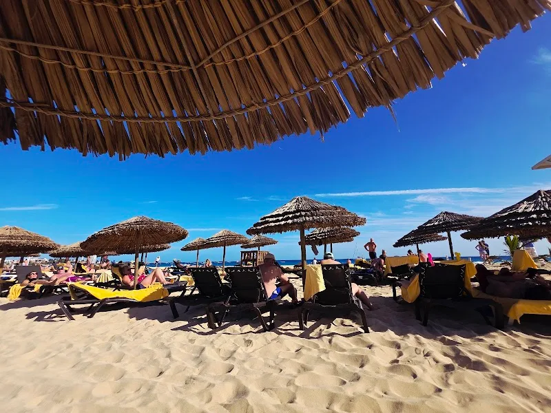Bar da Praia 4