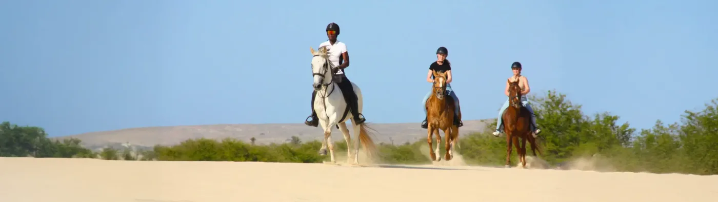 Balade à Cheval sur les Plages de Boa Vista