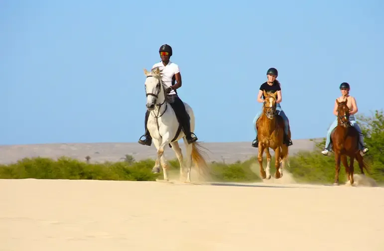 Balade à Cheval sur les Plages de Boa Vista