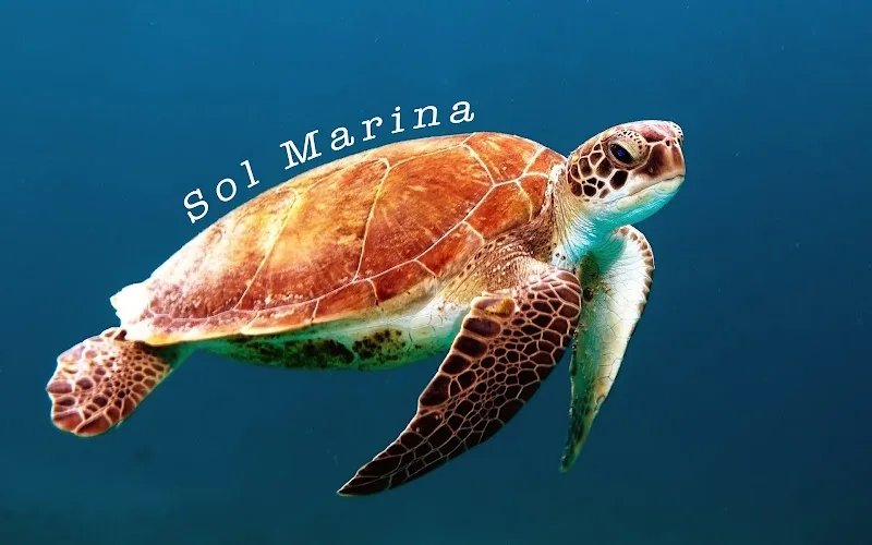 Hotel Sol Marina 4