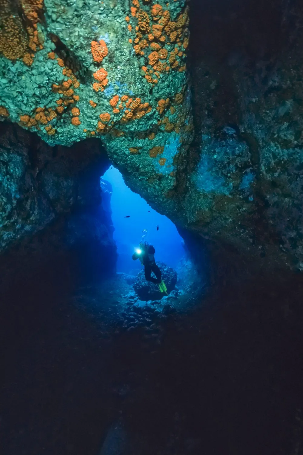 Plongee exploration 2 sites - Scubateam 3