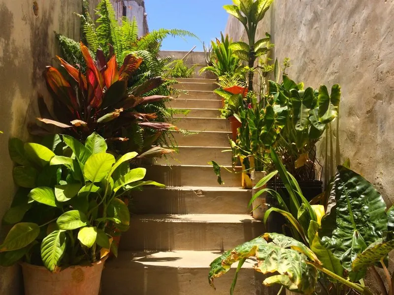 Casa Mira Pau Seco 3