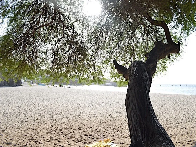 Kabungo Beach Bar Tarrafal 3