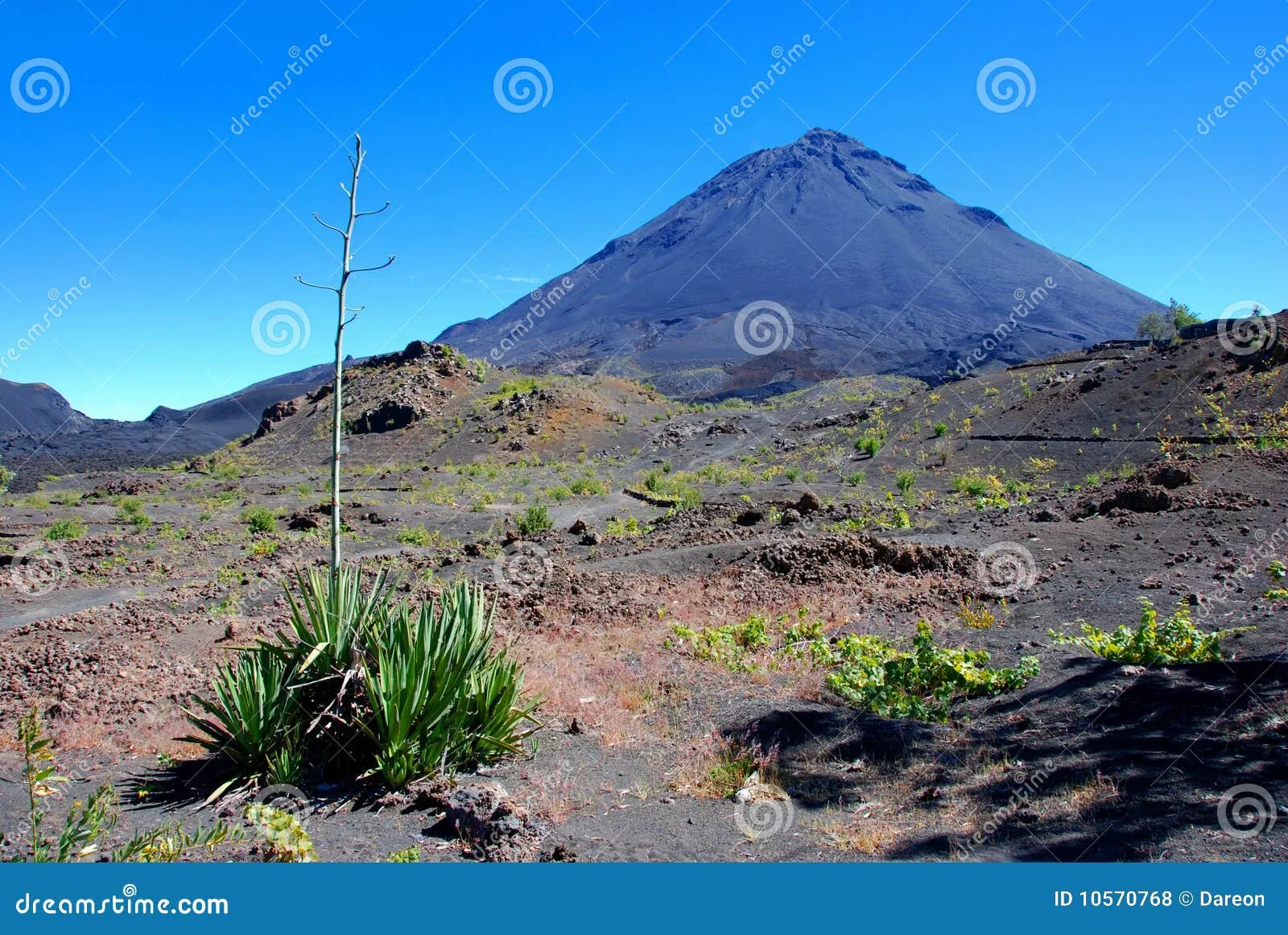 Frontreia Vulcao 3