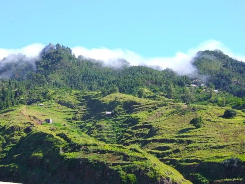 Chavena e sombra 3