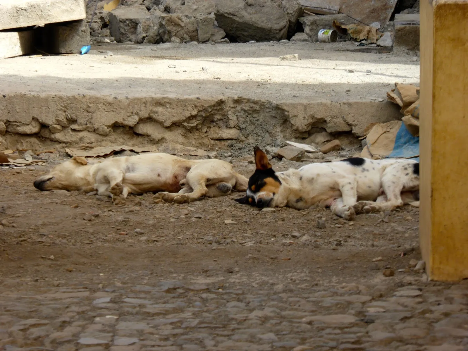 Mindelo 3