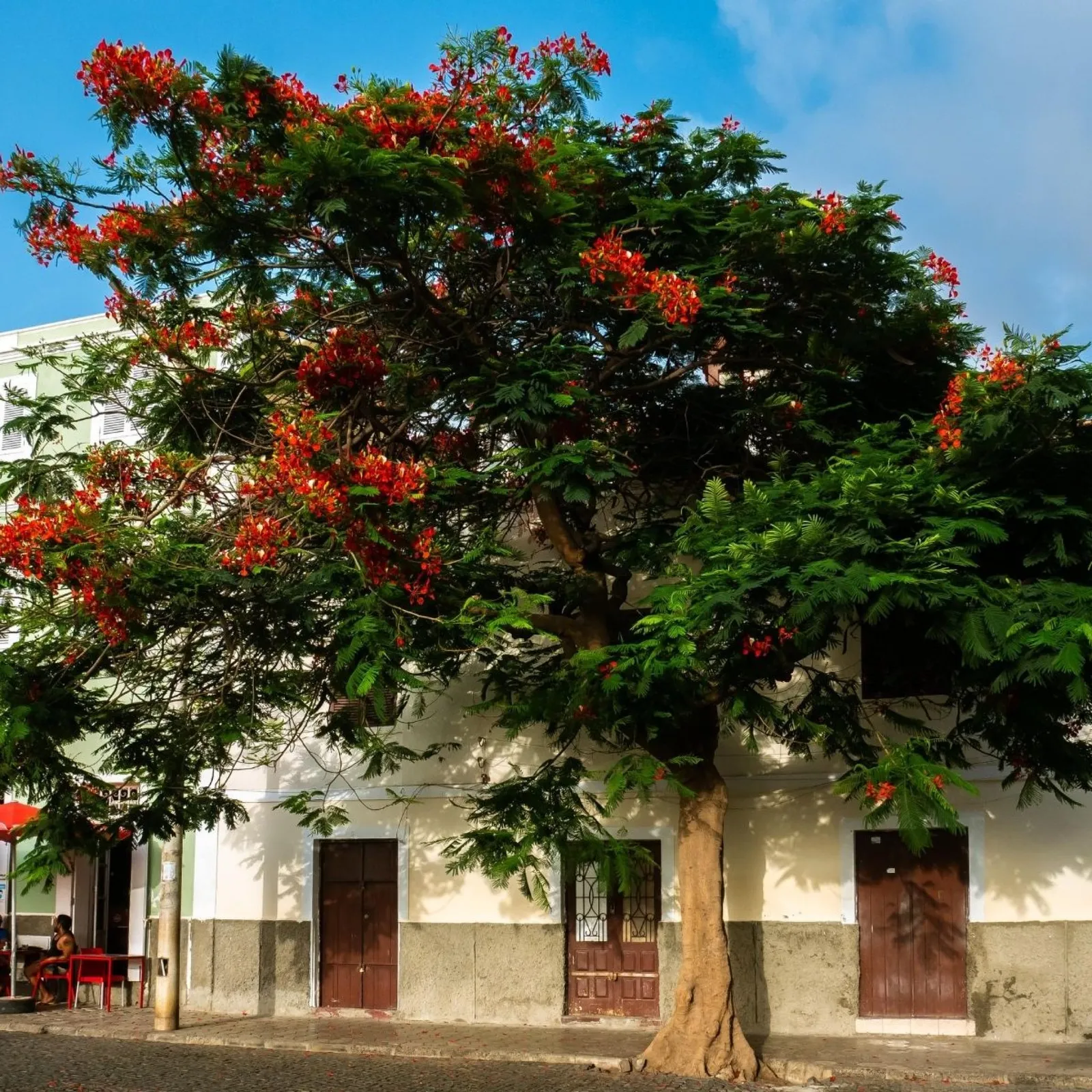 Casa da Djedja 3