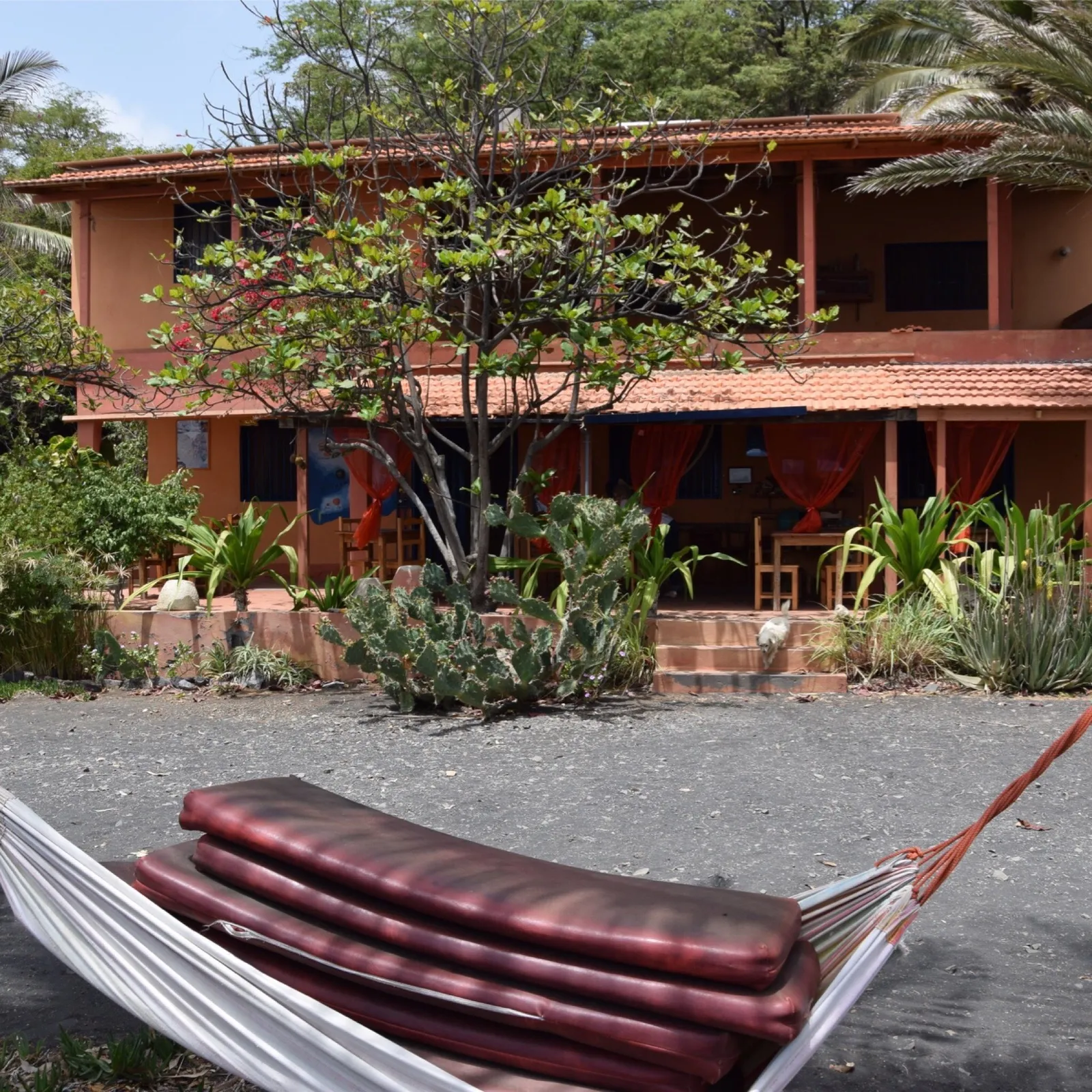 Pensão Casa Zé & Sónia 3