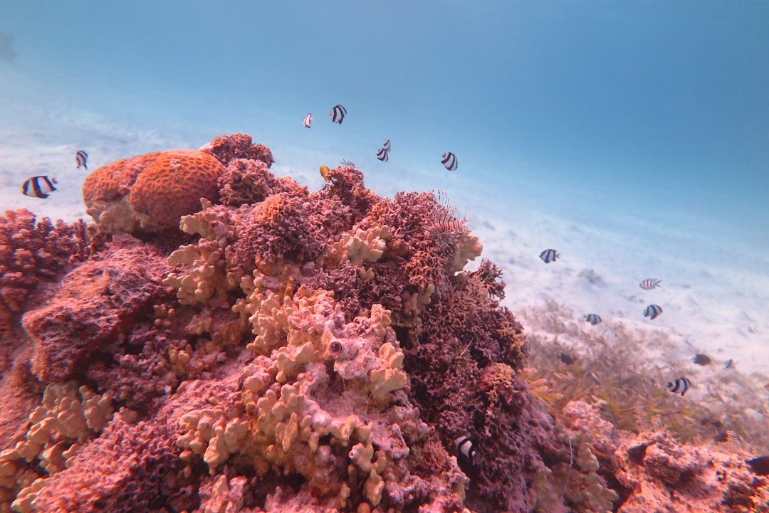 Best experiences to live in Cape Verde